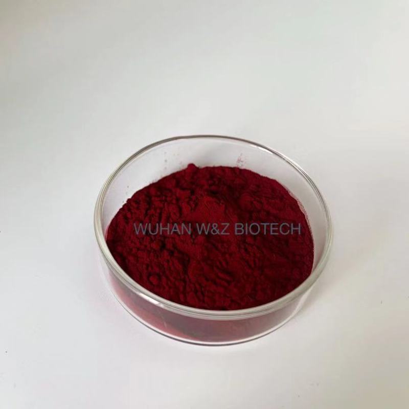 Factory Supply Natural Anti-cancer Celastrol Extract Celastrol