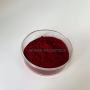 Factory Supply Natural Anti-cancer Celastrol Extract Celastrol