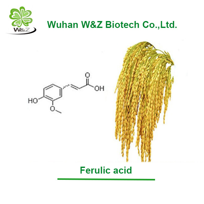 Wuhan W&Z Supply Pure Natural Ferulic Acid