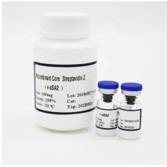 Pharmaceutical Grade Streptavidin // rc-SA for research Pharmaceutical Grade Streptavidin // rc-SA for research