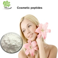 Supply Cosmetic ingredients Palmitoyl Hexapeptide-19