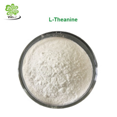 100% natural L-theanine // L-Theanine 99%
