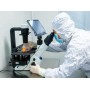 Medical grade Pachymic acid powder with best price CAS 29070-92-6