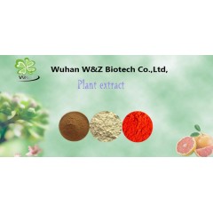 Red Clover Extract Formononetin Cas:485-72-3 Formononetin powder 98%
