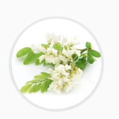 Cosmetic ingredients Glucosyl Rutin    CAS 130603-71-3