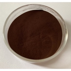 Natural Chaga Mushroom Extract  Polysaccharides 10%  / Chaga Triterpene2%