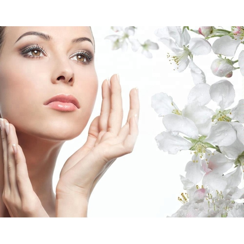 Cosmetic Raw Materials CAS 62-46-4 Nanoactive ALA/ alpha lipoic acid For Skin Whitening Product