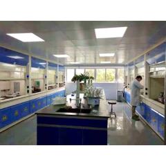 100% Pure natural sorghum extract 90% proanthocyanidins with best price