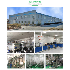 W&Z factory supply Proteinase K  powder CAS 39450-01-6 high purity