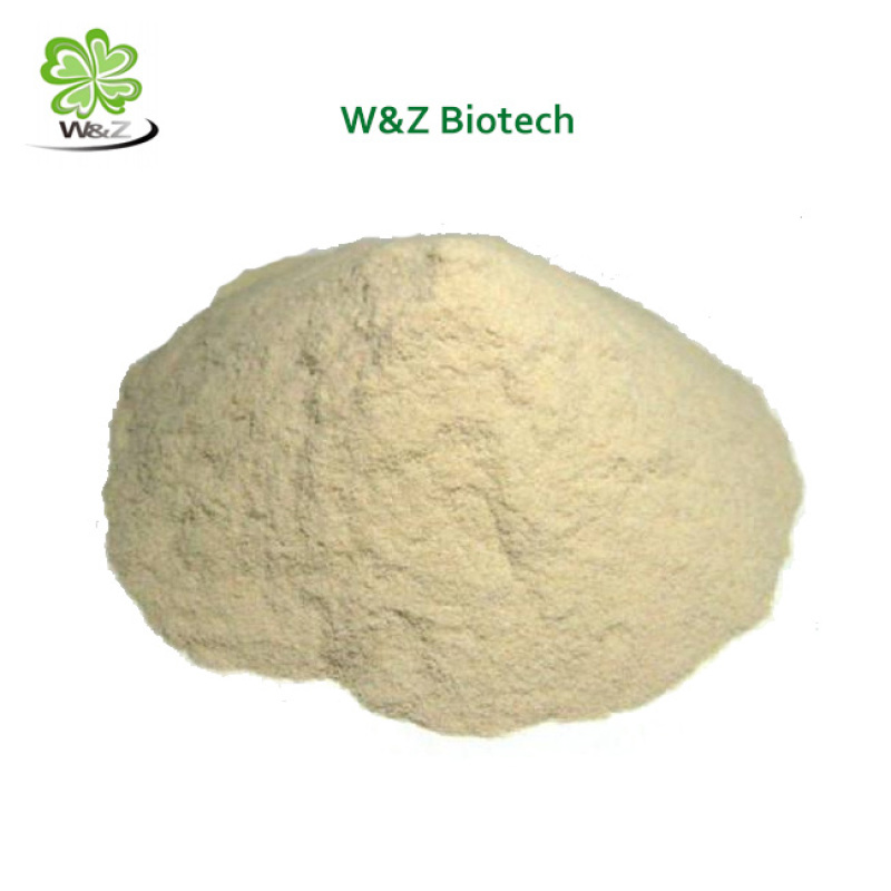 Cosmetics Grade Birch Bark Extract Betulin powder 50%-98% HPLC