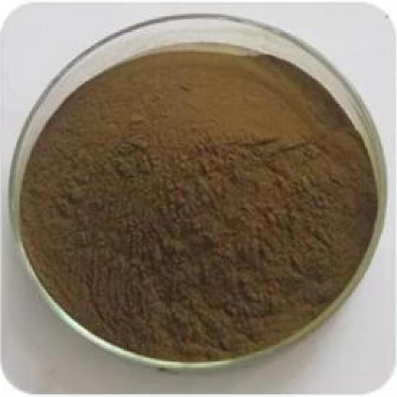 GMP Factory Supply Fucus Extract Bladderwrack Extract Fucoxanthin