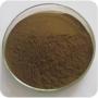 GMP Factory Supply Fucus Extract Bladderwrack Extract Fucoxanthin