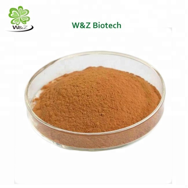 Natural Shiitake Mushroom Extract Shiitake Extract Lentinan Powder CAS 37339-90-5