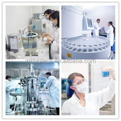 Cosmetics Peptide Palmitoil Tripeptid -38 CAS1447824-23-8 Palmitoil Tripeptid -38