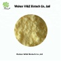 Supply High Quality 98% Alpha Lipoic Acid alpha lipoic acid raw materials