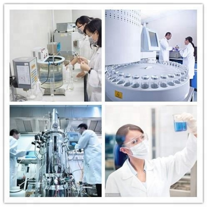 100% pure natural rosemary extract powder ursolic acid, carnosic acid, rosmarinic acid