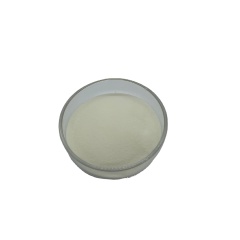 Virus RNA Extraction Proteinase K Powder for Kit Test