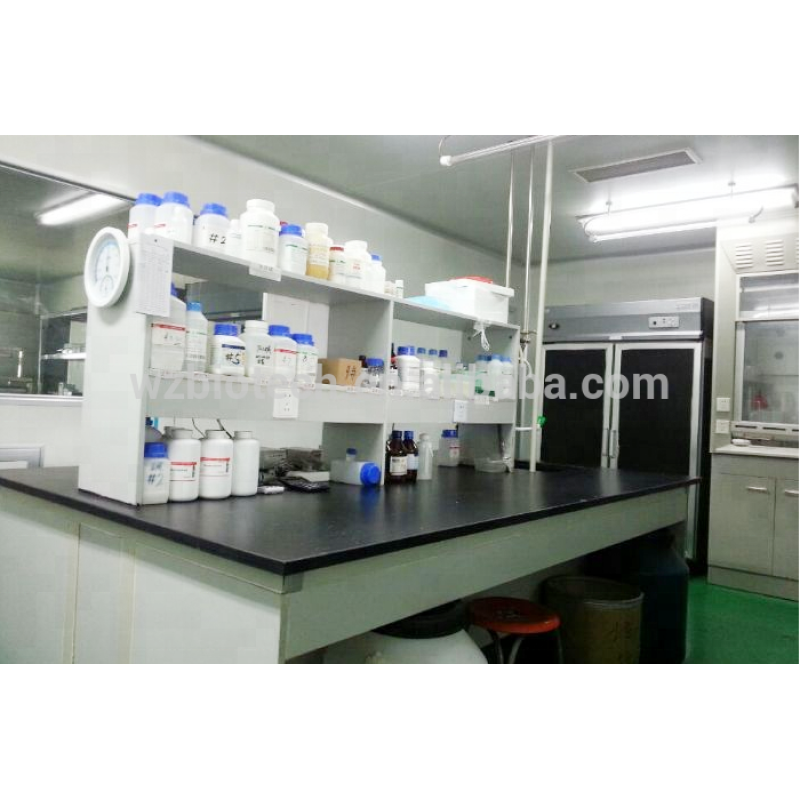 Hot sale cosmetic products Tetrapeptide-3/Capixyl For Eyebrow And Hair purity 99% powder china supplier online pharmacy