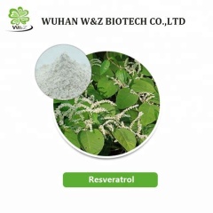 Cosmetic Material Polygonum Cuspidatum Extract Resveratrol Powder CAS 501-36-0