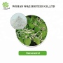 Cosmetic Material Polygonum Cuspidatum Extract Resveratrol Powder CAS 501-36-0