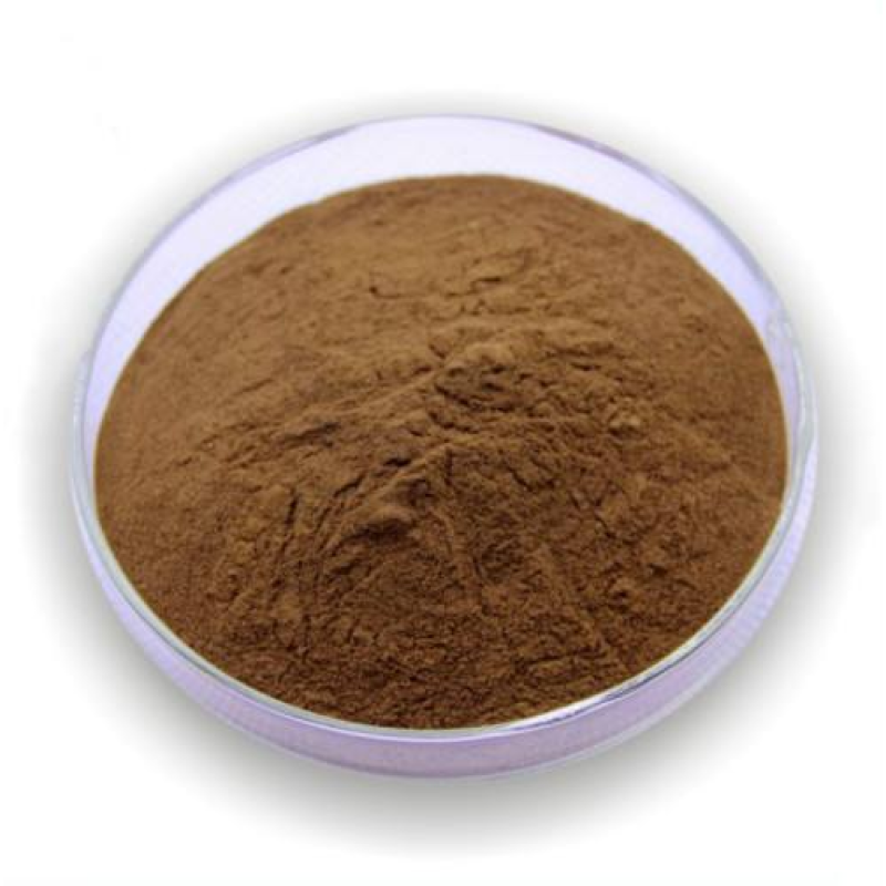 Coriolus Versicolor Polysaccharide Powder Coriolus Versicolor Extract Manufacture Supply