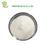 Supply Albumin from bovine serum 9048-46-8