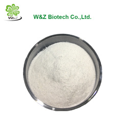 View larger image Top quality nootropics white crystal powder, Aniracetam, Pramiracetam, Oxiracetam, Coluracetam, Phenylpiracet