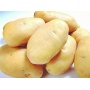 natural organic product potato extract  Potato protein  powder with best price bulk supply
