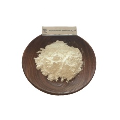 W&Z supply CAS NO.270076-60-3 99% Pristinamycin  powder
