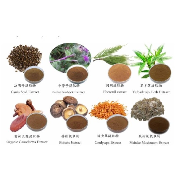 Pure natural organic panax ginseng root extract ginsenosides 85% ginseng root extract