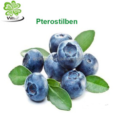 Natural Blueberry Extract Pterostilbene Powder/ Pterostilbene