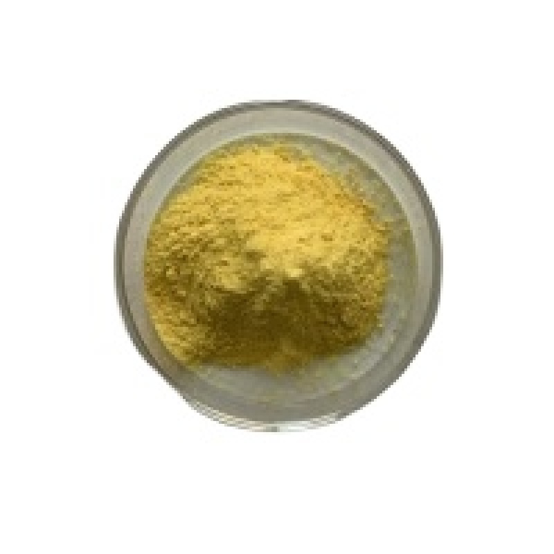 Sophora Japonical Extract Quercetin Powder 98% CAS 117-39-5 Quercetin