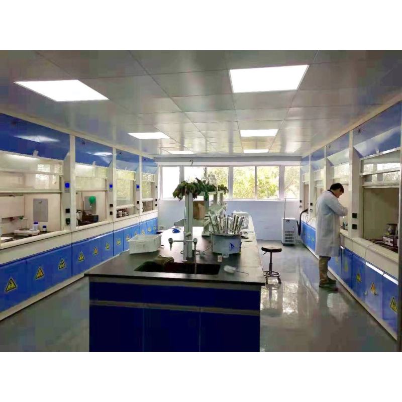 100% pure natural rosemary extract powder ursolic acid, carnosic acid, rosmarinic acid