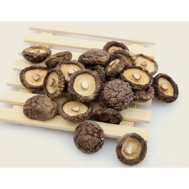 Shiitake Mushroom Extract 10.0~30.0% Polysaccharides by UV