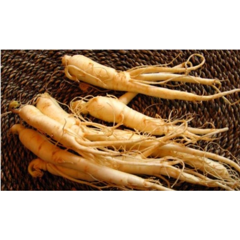 Supply 5% Withanolide Powder Ashwagandha Extract