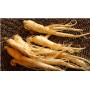 Supply 5% Withanolide Powder Ashwagandha Extract