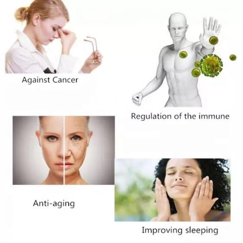 Best Quality Health Supplement Ribonucleic Acid