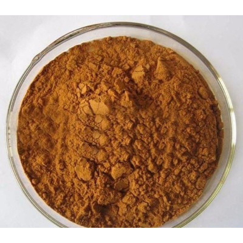 Wholesale Natural Acanthopanax senticosus Root Extract Powder Acanthopanax Senticosus Extract 0.8% Eleutheroside B+E