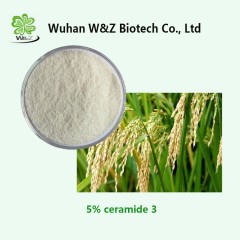 Ceramide Natural Rice Bran Extract Ceramide Powder CAS 104404-17-3