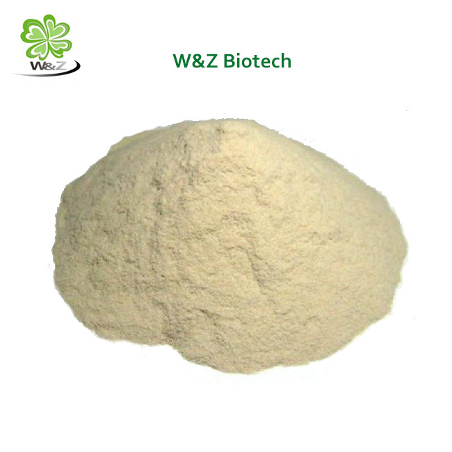 Wild Bayberry Extract Myricetin 98% powder