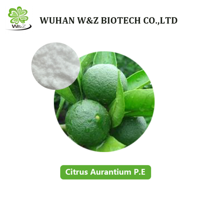 High Quality Slimming Citrus Aurantium Extract 98% Powder Synephrine HCL CAS 5985-28-4