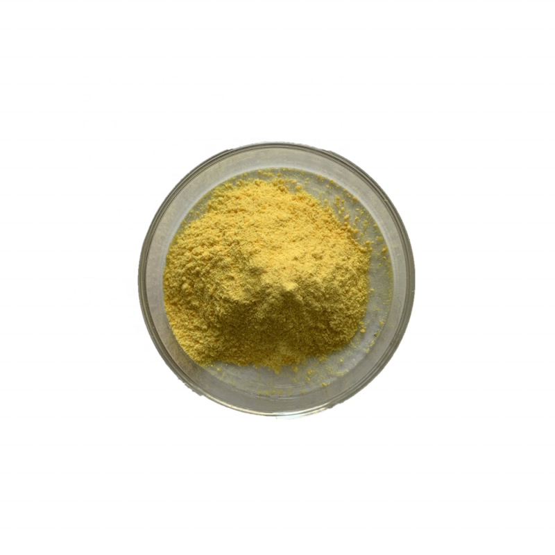 Sophora Japonical Extract Quercetin Powder 98% CAS 117-39-5 Quercetin
