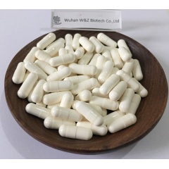 W&Z Factory supply  USP Standard Chenodeoxycholic Acid Powder CAS 474-25-9 Chenocholic Acid
