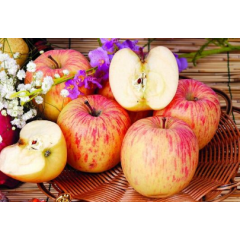 High Quality Apple Extract Skin Whitening Material Phloretin Powder CAS 60-82-2 Phloretin
