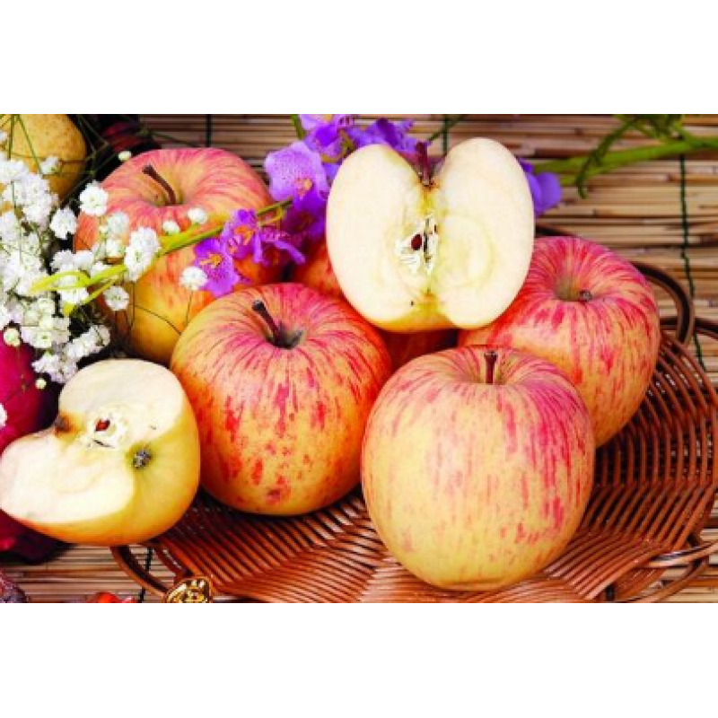 High Quality Apple Extract Skin Whitening Material Phloretin Powder CAS 60-82-2 Phloretin