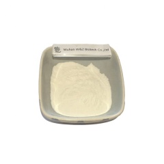 99.9% min Cosmetics  Pharmaceutical Grade Ectoine Powder  CAS 96702-03-3