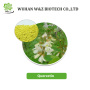 Sophora Japonical Extract Quercetin Powder 98% CAS 117-39-5 Quercetin