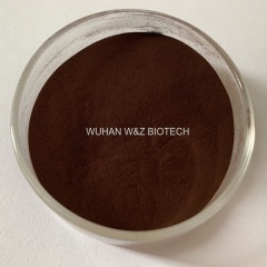 100% pure natural hibiscus flower extract hydroxycitric acid 10% - 60%with best price