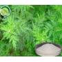 Cosmetic Grade Artemisia Annua Extract powder Artemisinin CAS 63968-64-9