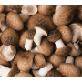 100% Pure Shiitake Mushroom Extract/ AHCC 10%-50%